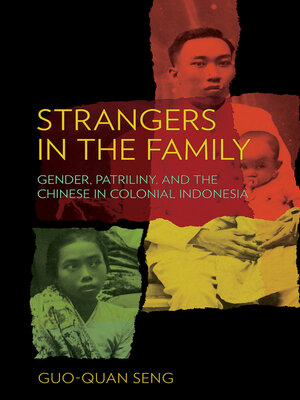 cover image of Strangers in the Family